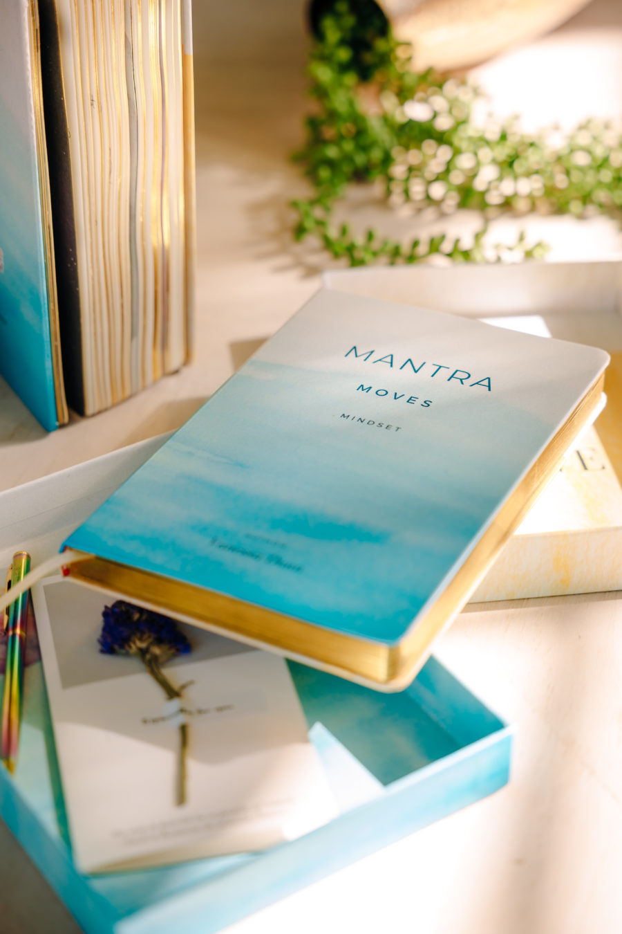 Mantra Moves Journal by Venessa Dunn 7