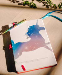2024 Mantra Moves Journal by Vanessa Dunn 7