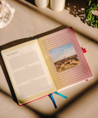 2024 Mantra Moves Journal by Vanessa Dunn 4