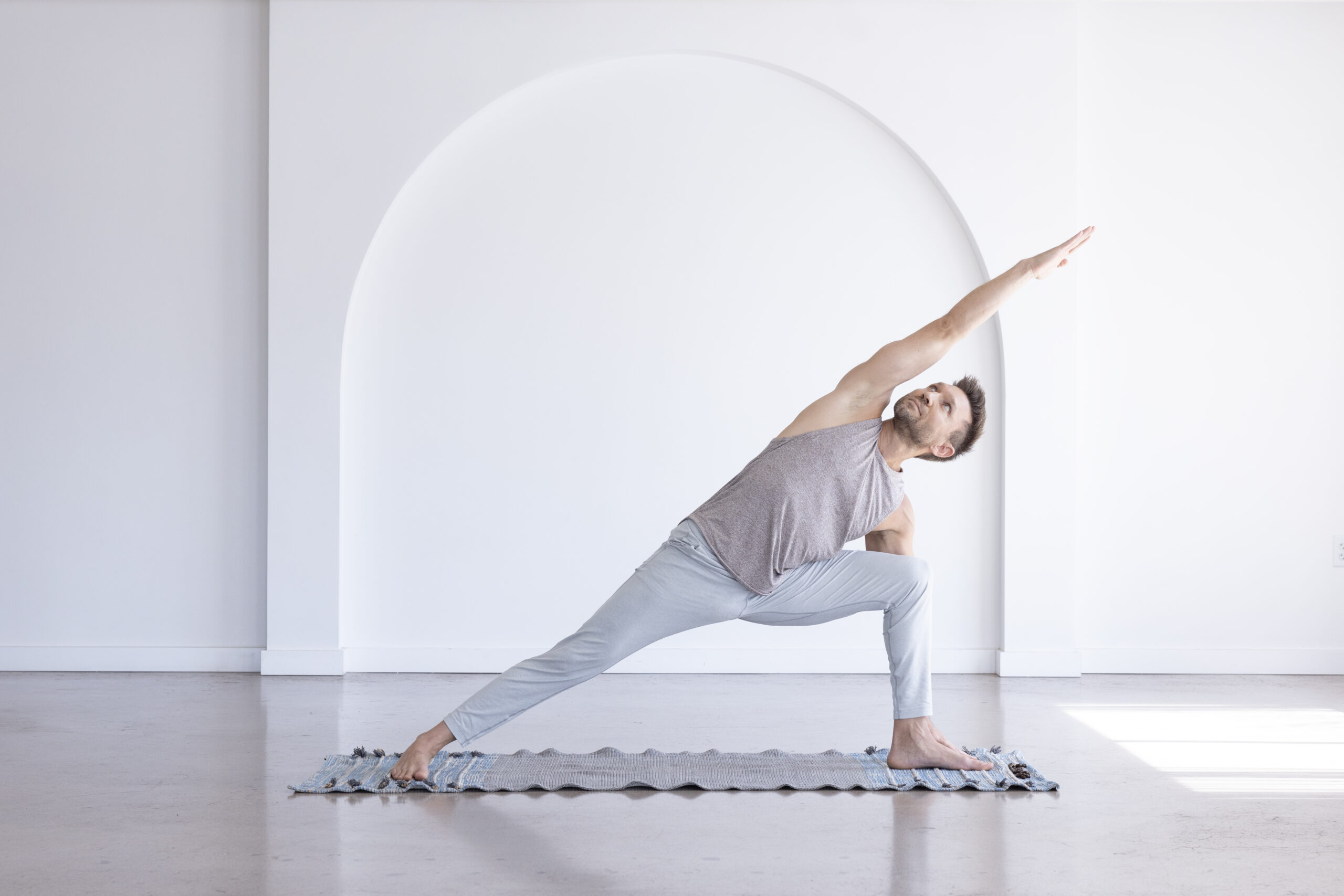 New Raja Yoga Paul Benedict