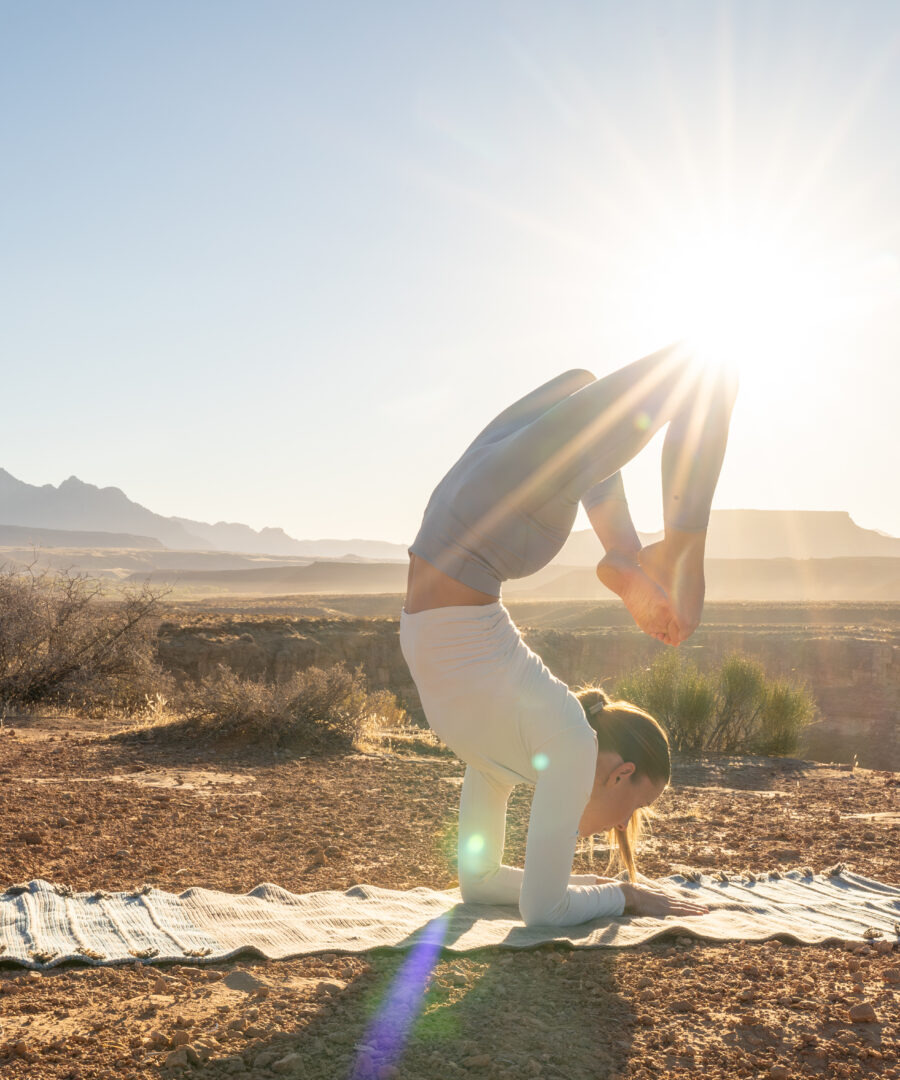The Original Ayurveda Yoga Mat
